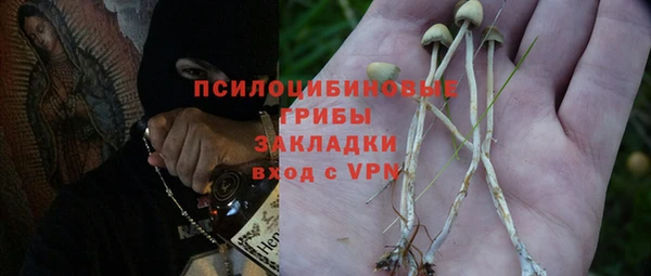 крисы Тобольск
