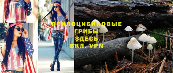 не бодяженный Ладушкин