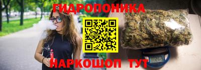 сатива Будённовск