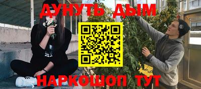 сатива Будённовск