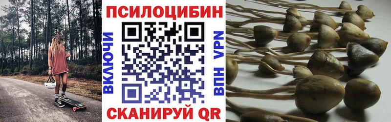 купить наркотик  Ефремов  Галлюциногенные грибы Magic Shrooms 
