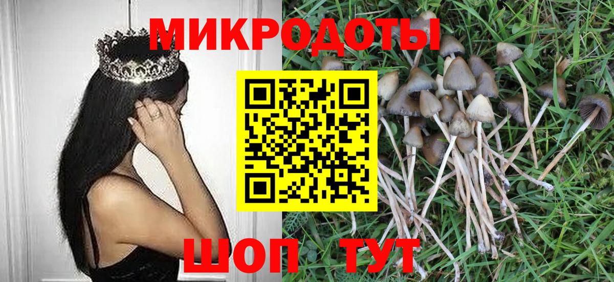 Галлюциногенные грибы GOLDEN TEACHER Ефремов