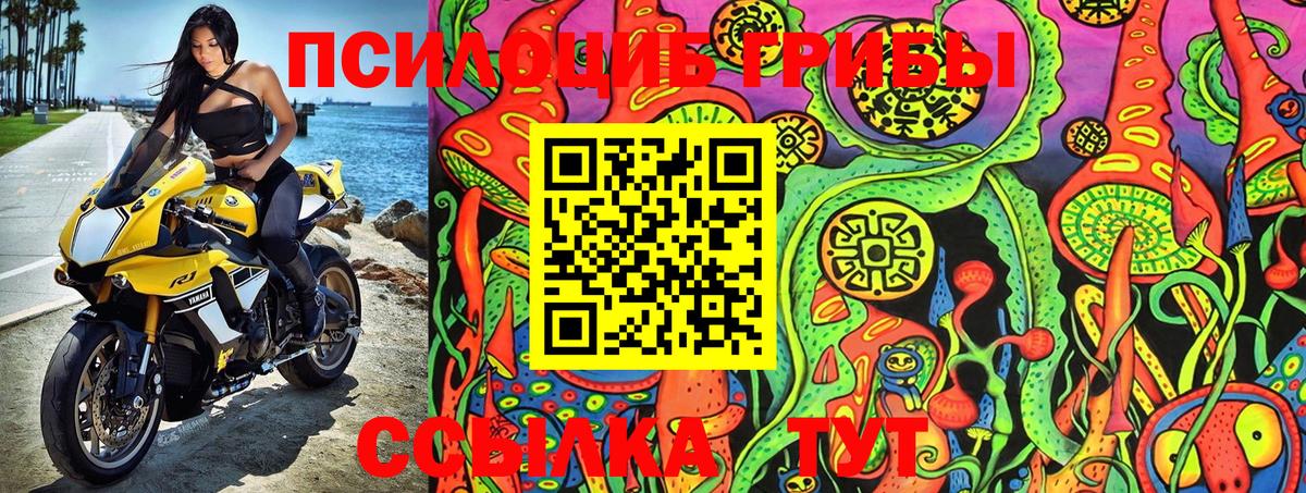 Галлюциногенные грибы GOLDEN TEACHER  Вход с VPN  Псилоцибиновые грибы GOLDEN TEACHER  Ефремов 