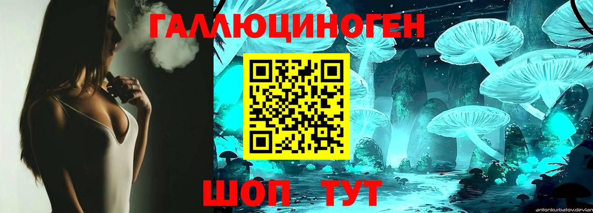 Галлюциногенные грибы Psilocybine cubensis  Ефремов 